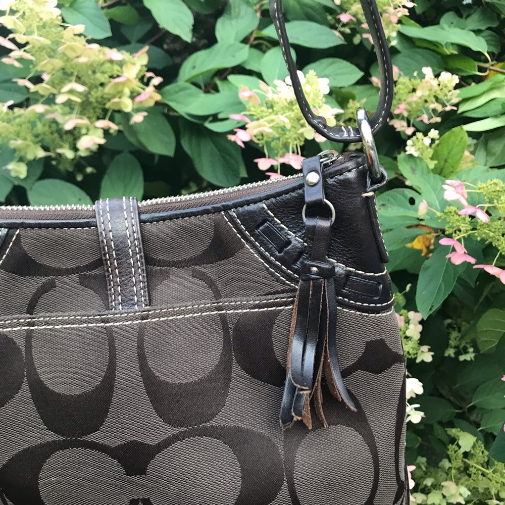 Coach Hampton Signature Canvas Python Crossbody - image 4